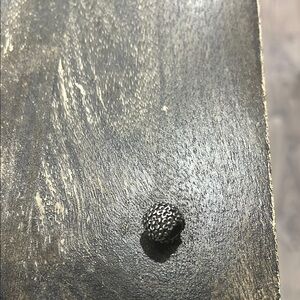 Pandora flower charm